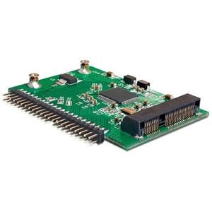 Delock adaptér mSATA SSD > IDE 44 pin