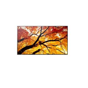 Sharp 98" MultiSync M982- 24/7, 550 cd, IPS LED, 3840x2160, 16:9, 8ms, 8000:1, DP, 2x HDMI, USB