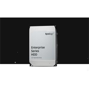 Synology HDD disk 3,5" SASHAS5310-20T - 20TB