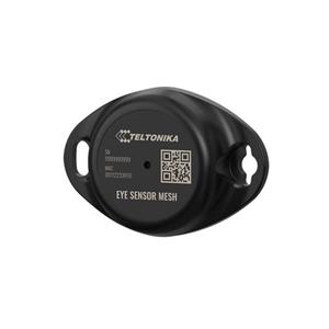 TELTONIKA TELEMATICS EYE Sensor Mesh Wirepas – vnitřní sledování